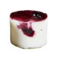 DELICREM DE QUESO CON ARANDANOS HELADOS ALONSO (20)