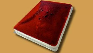 PLACA QUESO ARANDANOS 24R DON JOSE