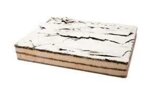 PLANCHA SELVA NEGRA (1u)